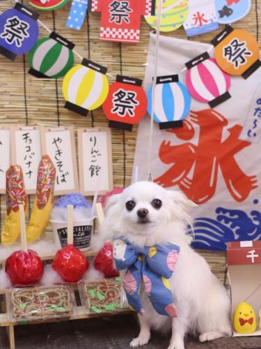 20240717ルルちゃん